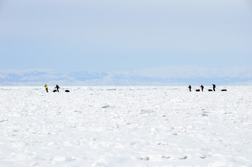Group of travelers through Ice of Lake Baikal. Cracks, splinters, hummocks