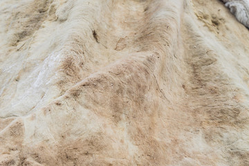 deer skin background texture, seamless pattern for design