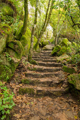 SINTRA, PORTUGAL - NOVEMBER 19, 2018: Gardens of the Palacio Da Pena