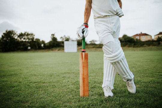 Cricket player standing on a field