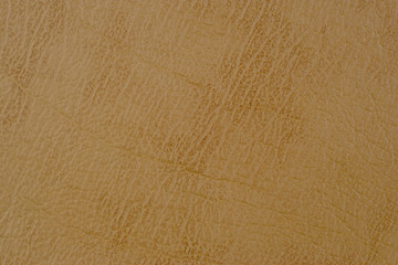 Obraz premium Close-up of natural grain cow leather Light brown leather texture surface.