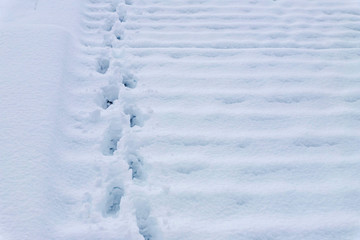 Human footprints in the fresh snow on stairs with copy space. City in winter.