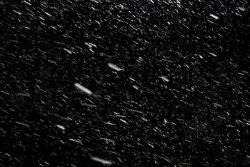 Falling down real snowflakes at the snowstorm weather isolated on black background. For use as layer snow in your project.