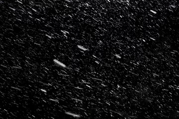 Foto op Aluminium Falling down real snowflakes at the snowstorm weather isolated on black background. For use as layer snow in your project. © Artem Zarubin