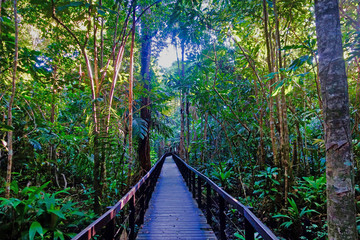 Im Cahuita National Park in Costa Rica