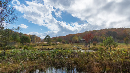 羽鳥湖高原の秋