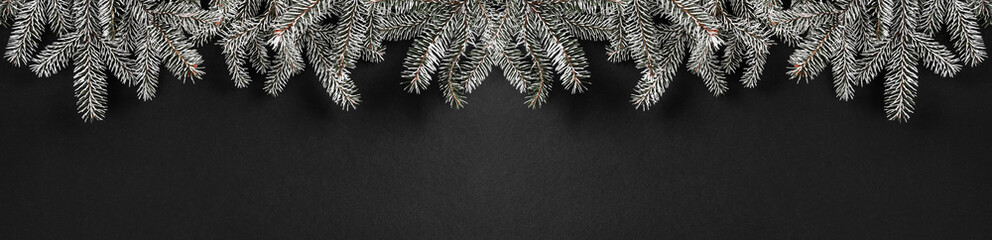 Christmas fir branches on dark background. Xmas and New Year theme, snow. Flat lay, top view, wide composition