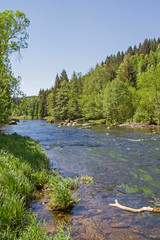 Obraz premium Im Tal des schwarzen Regen