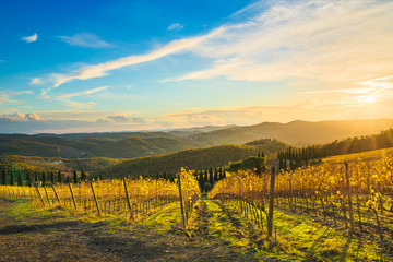 Fototapeta na wymiar Radda in Chianti vineyard and panorama at sunset. Tuscany, Italy