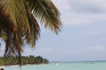 Dominican Beach