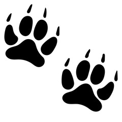 Paw