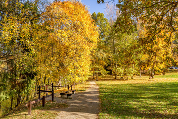 Golden Autumn at the park at Anyksciai