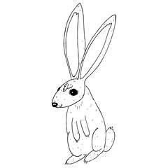 Hare rabbit hand drawn. Vector illustration of a cartoon rabbit, hare. Funny hare icon.