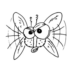 Fly hand drawn. Vector illustration of cartoon fly. Icon fly.