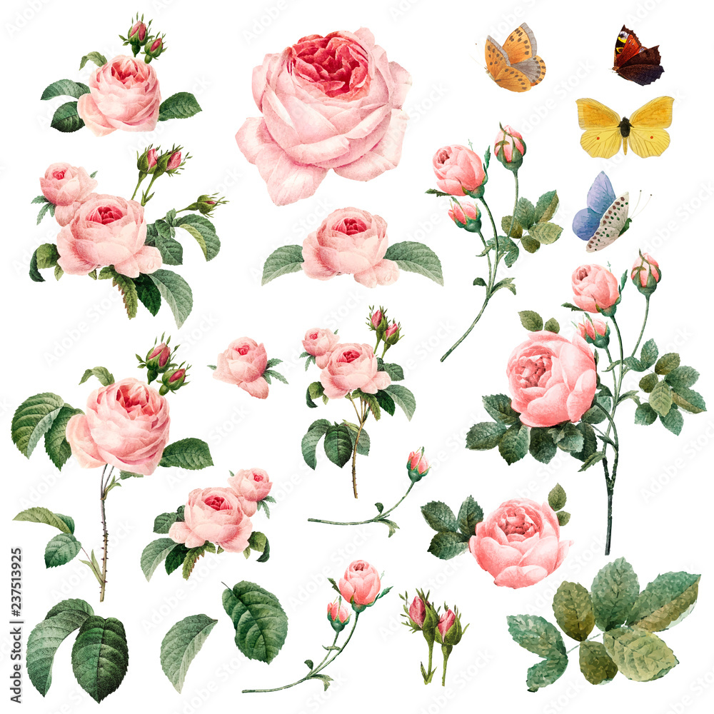 Wall mural hand drawn pink roses vector collection - Wall murals