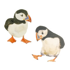 Watercololor arctic bird with christmas present