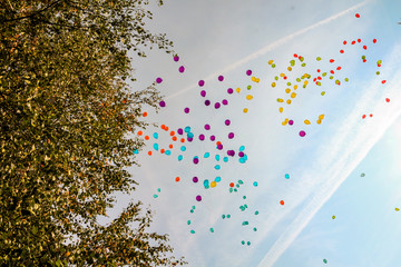 lots of colorful balloons flying high in the blue summer sky