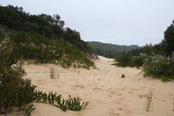 dunes walk at croajingolong national park