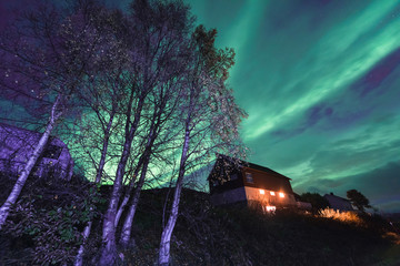The polar arctic Northern lights aurora borealis sky star in Scandinavia Norway Tromso in the farm winter snow mountains