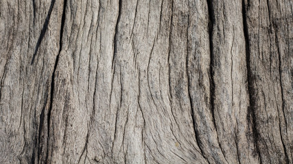 Old wooden texture background. Wood pattern Background.