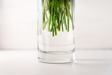 Green stems of flowers in a glass vase with water on a white background, close-up view.
