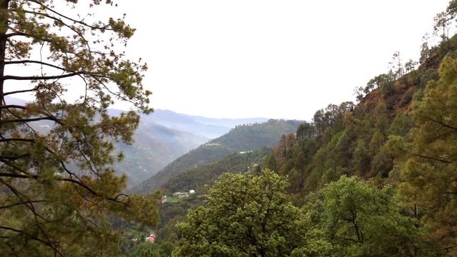 View from historic train window on the way from Shimla to Kalka, UNESCO World Heritage Site, Himachal Pradesh, India