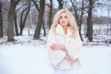 Fototapeta na wymiar Holidays days, Christmas winter time. Woman in elegant dress and fur coat outdoor. Girl in fashionable clothes, ladies fashion concept, posing on the street in snowy weather 