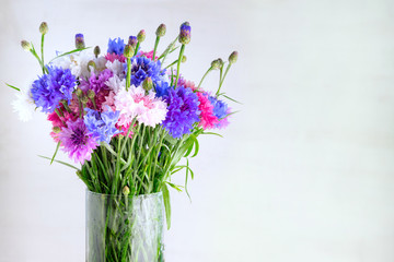 A beautiful bouquet of colorful cornflowers in a glass vase on a light background with copy space.
