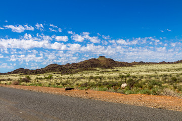 The arid landscape of the Karoo National Park in South Africa.