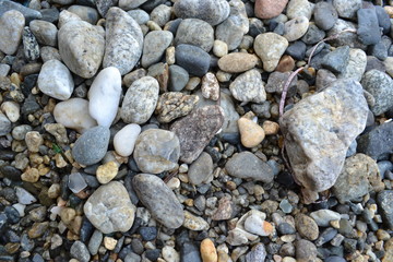 pebbles on the beach