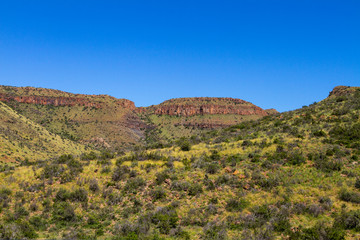 Naklejka premium The arid landscape of the Karoo National Park in South Africa.