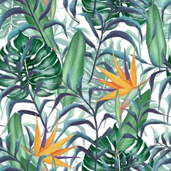 Tropical plants. Sterlitzia flower. Seamless floral pattern wimn watercolor style