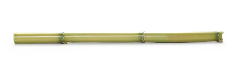Foto auf Acrylglas Bambus Green bamboo sticks isolated on white background, side view