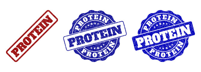 PROTEIN scratched stamp seals in red and blue colors. Vector PROTEIN labels with distress texture. Graphic elements are rounded rectangles, rosettes, circles and text labels.