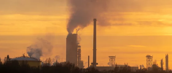 Fotobehang Smoking chemical plant chimneys,panorama.Air environment pollution concept. © Mike Mareen