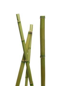 Green bamboo sticks isolated on white background with clipping path