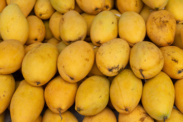 mango  In the market