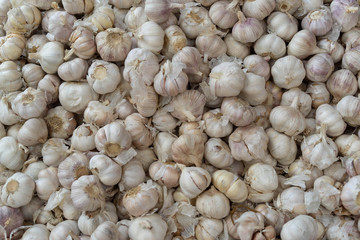 garlic In the market
