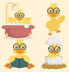 Cute Baby duck collection set