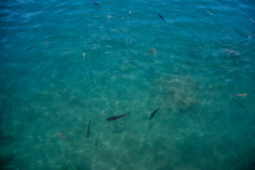 Fototapeta premium Teneriffa