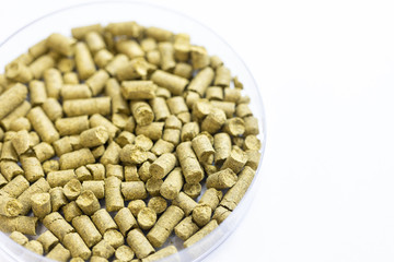 Materials for Beer fermentation, Beer raw materials and Production of Beer at the home. 