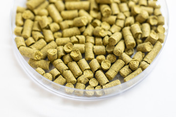 Materials for Beer fermentation, Beer raw materials and Production of Beer at the home. 