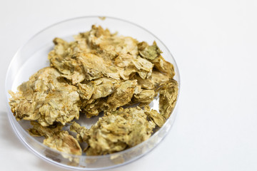 Materials for Beer fermentation, Beer raw materials and Production of Beer at the home. 