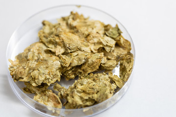Materials for Beer fermentation, Beer raw materials and Production of Beer at the home. 