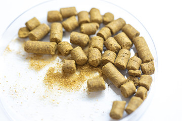 Materials for Beer fermentation, Beer raw materials and Production of Beer at the home. 