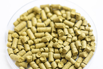 Materials for Beer fermentation, Beer raw materials and Production of Beer at the home. 