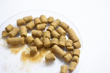 Materials for Beer fermentation, Beer raw materials and Production of Beer at the home. 