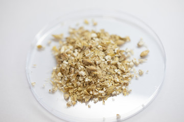 Materials for Beer fermentation, Beer raw materials and Production of Beer at the home. 