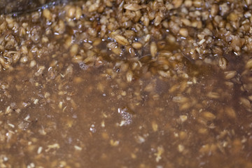 Materials for Beer fermentation, Beer raw materials and Production of Beer at the home. 
