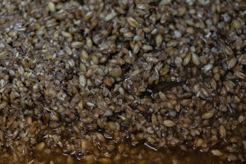Materials for Beer fermentation, Beer raw materials and Production of Beer at the home. 